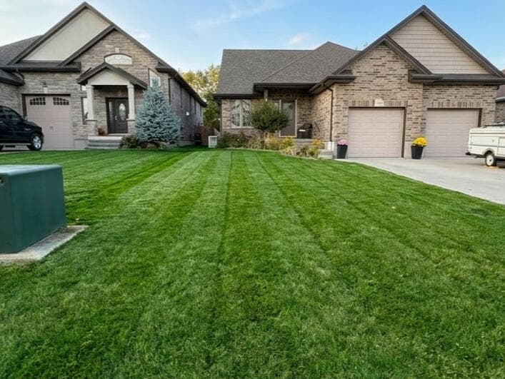 Lush green garden beds with healthy plants in bright natural light