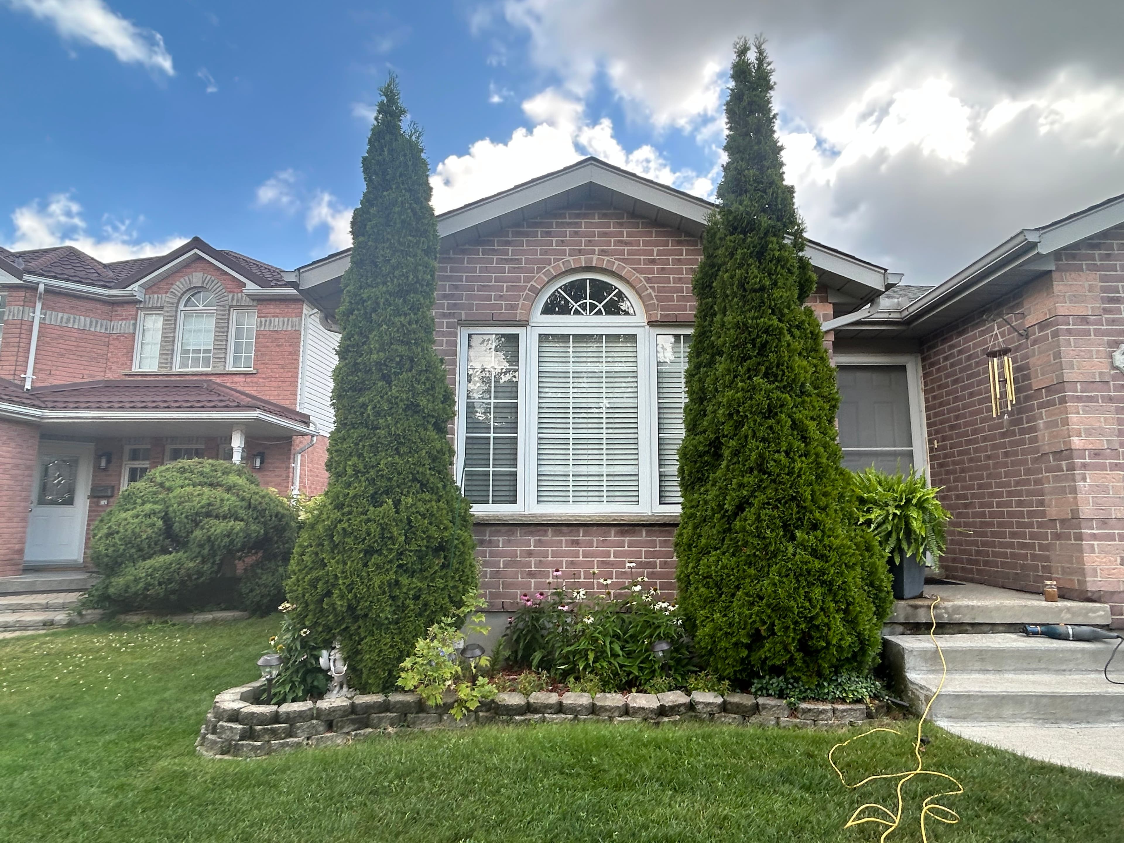 Two tall evergreen trees frame a white arched window on a red brick suburban house.