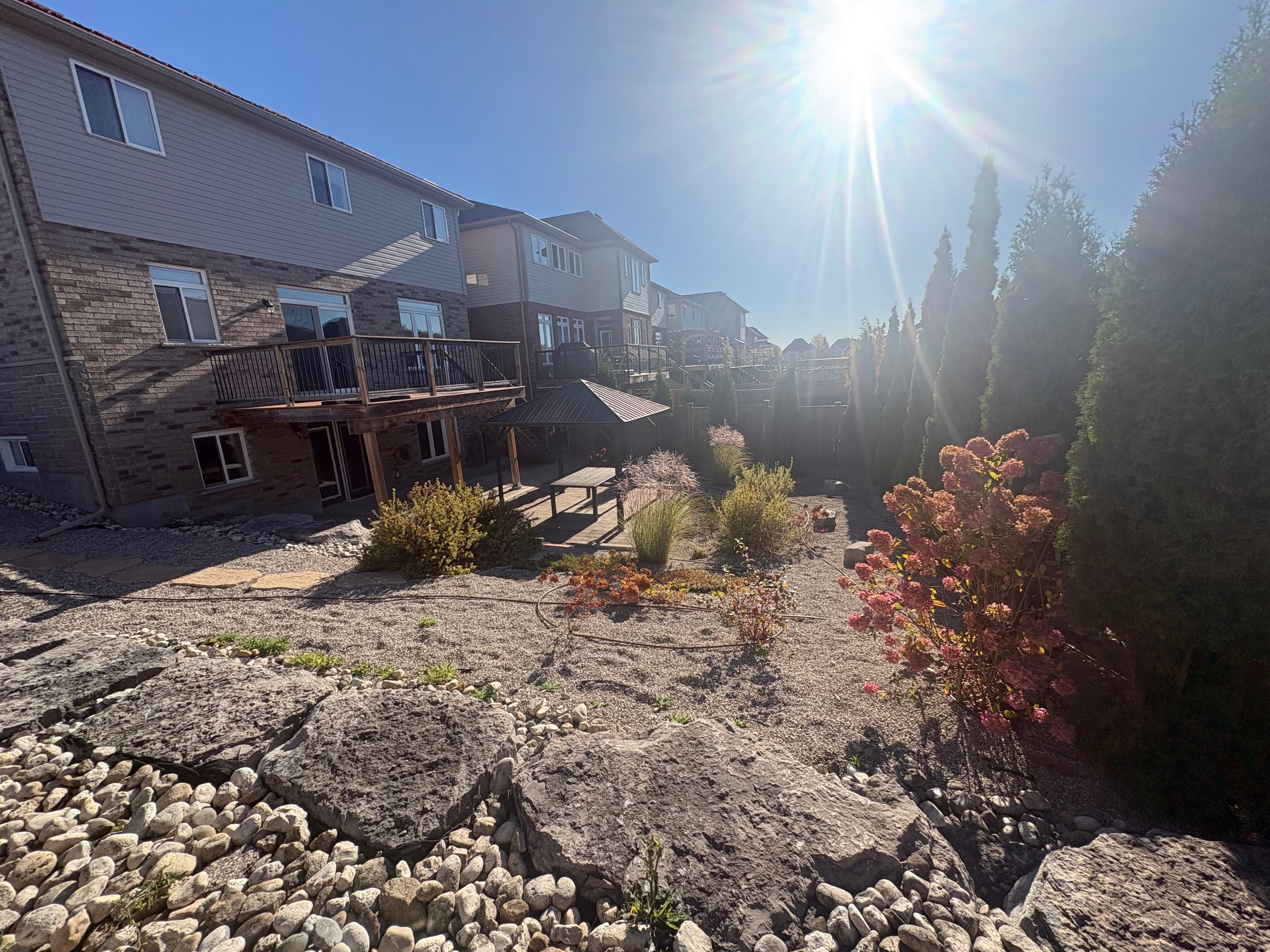 Sun-drenched suburban backyard with a gravel garden, large rocks, wooden deck, and a gazebo.