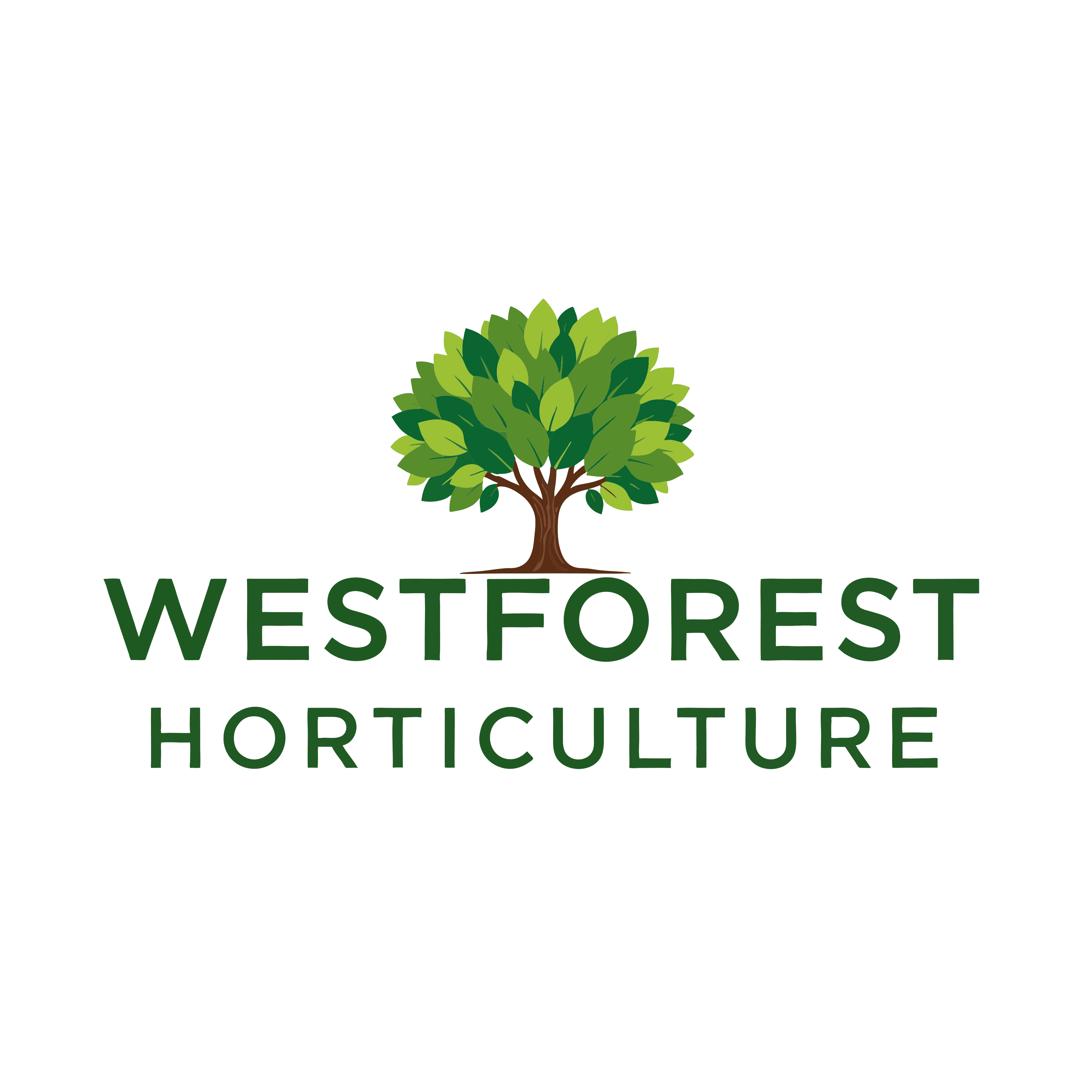 Westforest Horticulture logo featuring a green tree icon above bold, dark green sans-serif text.